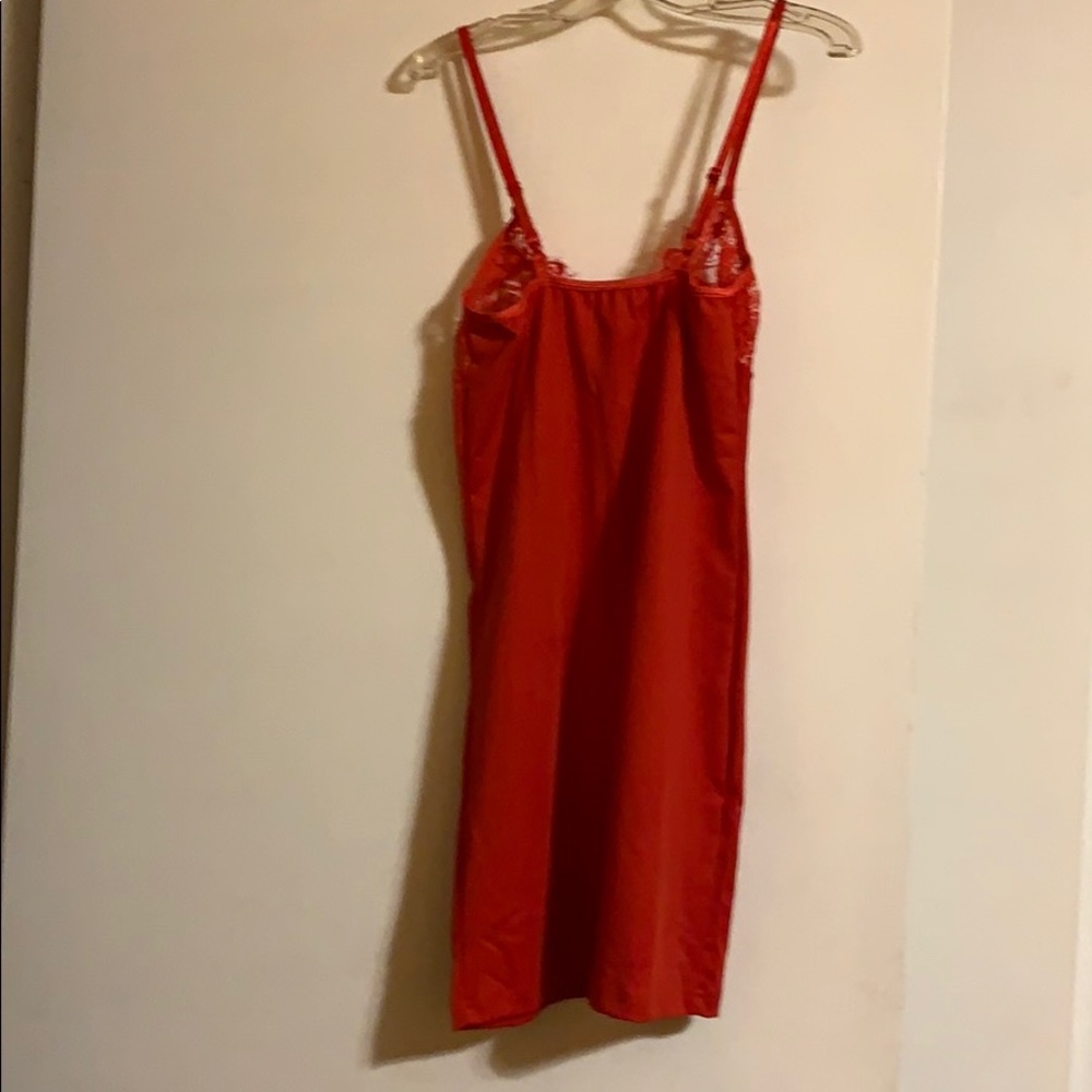 Red nightly - Picture 2 of 3
